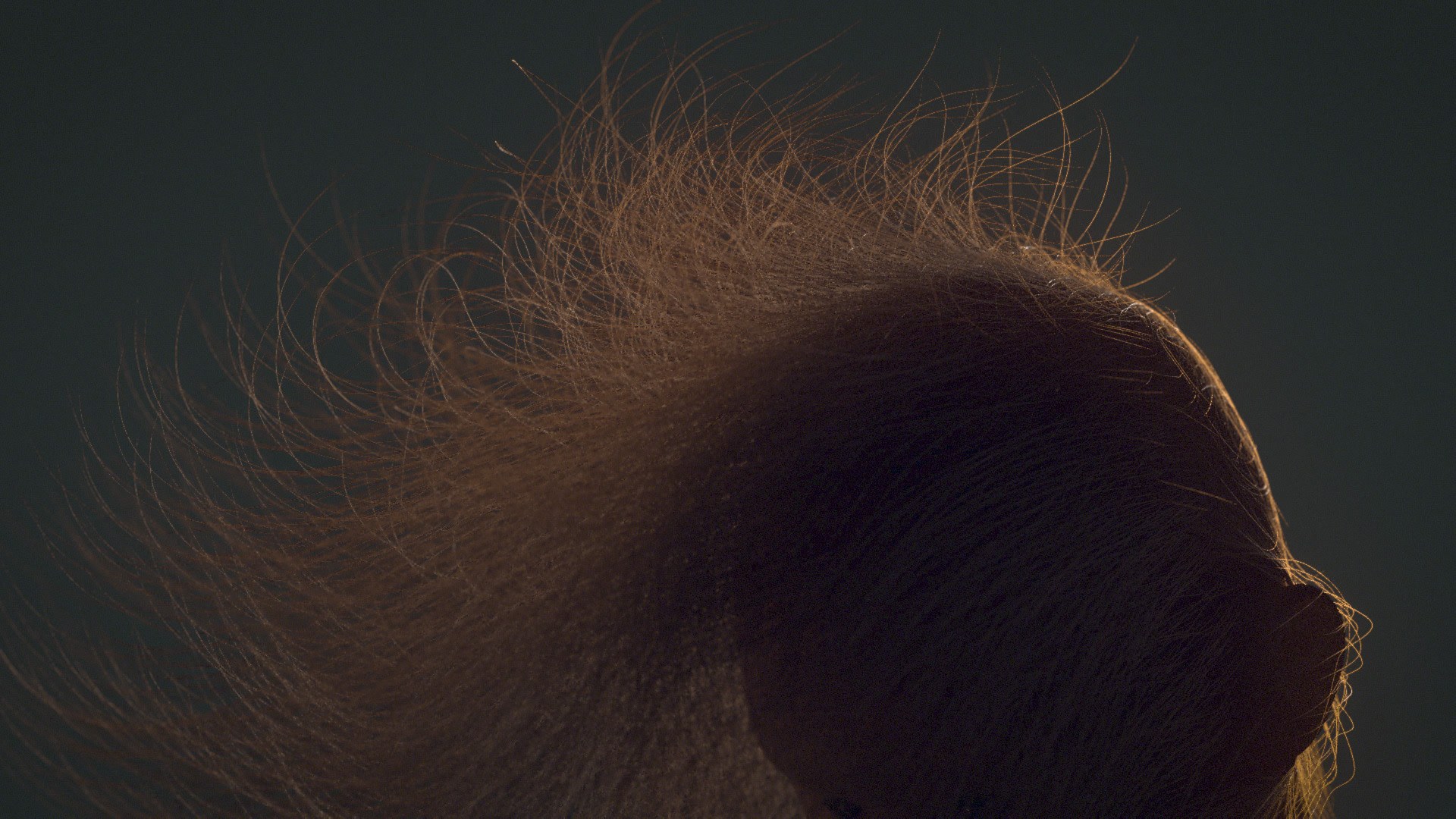 leo_diorama_still_04